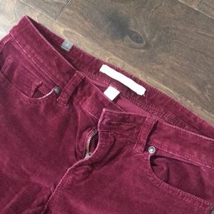 LC Lauren Conrad pants